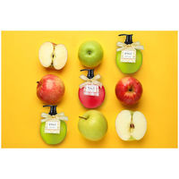 グローバルプロダクトプランニング フルーツの森 リンゴCAハンドソープ リンゴの香り 4517161159912 1セット(24個)（直送品）