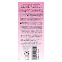 フルーツの森 フルーツパーティー ひんやりハンドジェル 摘みたていちご 30mL 4517161168754 1セット(96個)（直送品）