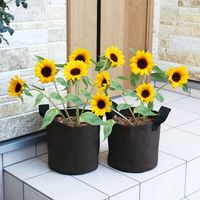 アイメディア 鉢カバー 不織布プランター 2個組 布 455643 1個（直送品）