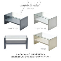 【軒先渡し】B.Bファニシング Noko ガラスセンターテーブル 幅750×奥行400×高さ370mm NKTB0266MOLGY 1台（直送品）