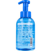 ランディスミス 泡の極涼 アイスボディシャンプー 500mL 4589890530461 1本（直送品）