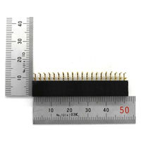 GB L型ピンソケット 40ピン[20ピン×2列] GB-DPS-2540PL 1個（直送品）