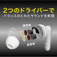 グリーンハウス 完全ワイヤレスステレオイヤホン D/Driver ブラック GH-TWSG-BK 1個（直送品）