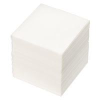 （限定）抗菌・防カビ カウンタークロス ハーフ 約30×30cm ホワイト 1セット（1パック（100枚入）×5）帝人フロンティア オリジナル