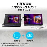 ASUS 15.6インチ モバイル液晶モニター USB Type-C×2/Mini HDMIポート搭載 MB16AHV USB Type-C給電対応 1台