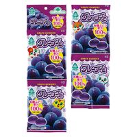 グレープグミ 20g×4連 4個 サンコー キャンディ