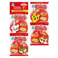 アップルグミ 80g  4個 サンコー キャンディ