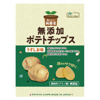 純国産ポテトチップスうすしお味 55g 4個 ノースカラーズ スナック菓子 ポテトチップス