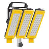 ネクセル LEDフラッドライト 40000lm LL360ー300W 1台（直送品）