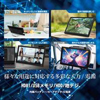 ダイアモンドヘッド 録画機能付き15.6インチポータブルテレビ OT-CT156TE 1台（直送品）