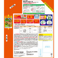 【園芸用品】フマキラー カダン除草王ザッソージエース　エコパウチ4.5L 1個