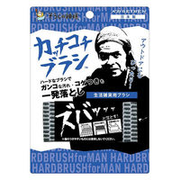 そうじの神様 ハードブラシ カッチコチブラシ 生活雑貨用ブラシ 焦げ落とし ガンコな汚れ 掃除 日本製 1セット（1個×5）KBセーレン