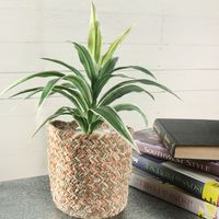 コットンカラー編み ポットS オレンジ studio CLIP