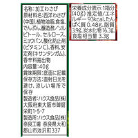 ホースラディッシュ（西洋わさび）40g 1個 ハウス食品