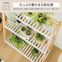 武田コーポレーション ハンガー付き プランターラック3段 W60 LN-E-HPR60 1箱(1個入)（直送品）