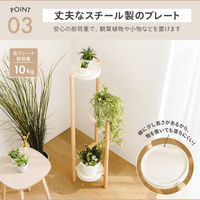 武田コーポレーション プランタースタンド M LN-E-PSM 1箱(1個入)（直送品）