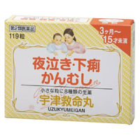 宇津救命丸 ＜銀粒＞ 119粒 夜泣き 下痢 かんむし【第2類医薬品】