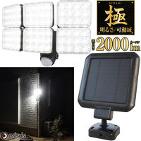 大進 人感 センサーライト ソーラー 屋外 LED 防雨 防犯 DLS-10T600 1セット（1台×2）（直送品）