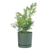 【園芸用品】Prosperplast PROSP TUBOカラーポット　鉢カバー 15 グリーン 45040 1個