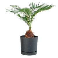 【園芸用品】Prosperplast PROSP TUBOエコポット　鉢カバー 20 ブラック 45023 1個