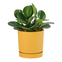 【園芸用品】Prosperplast PROSP TUBOカラーポット　鉢カバー 13 マスタード 45035 1個