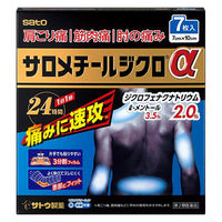 サロメチールジクロα 7枚 佐藤製薬 肩こり痛 筋肉痛 肘の痛み【第2類医薬品】