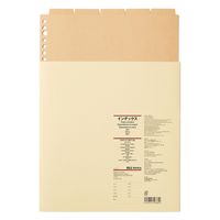 無印良品 インデックス ベージュ Ａ４サイズ ３０穴 ５山 1セット（1個×2） 良品計画