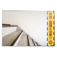 グリーンクロス エスカレーター・階段用後方注意ミラー A3サイズ 6300063318 1枚（直送品）