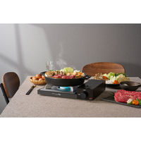 岩谷産業 カセットフー雅SLIM 4901140898358 1セット(2個)（直送品）