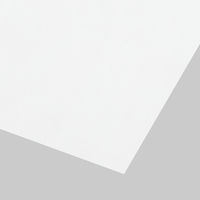 【折り紙】アスクル オリジナル単色おりがみ しろ 15cm 1セット（1袋（100枚入）×3） オリジナル