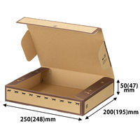 宅急便コンパクト専用ダンボール箱 外寸法：縦20cm×横25cm×厚さ5cm 1セット（1梱包（20枚入）×5） アスクル オリジナル