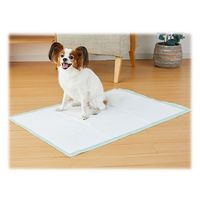 しつけるシーツ W消臭 NEO スーパーワイド 15枚入 1袋 ボンビアルコン 犬用