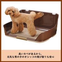 しつけるウォールトレー M アイボリー 1個 ボンビアルコン 犬用