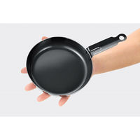 カンダ PY-SL43 ミニフライパン16cm レシピ付 4995969049497 1個（直送品）