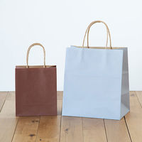 スーパーバッグ 丸紐 ニュアンスカラー手提紙袋 SS（幅180×高さ210×マチ幅100mm） ウォームブラウン  1袋（50枚入）（わけあり品）