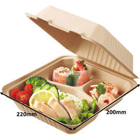 ストリックスデザイン 未晒しバガスモールド フードパックスクエア 仕切付 1袋（25枚入）（わけあり品）