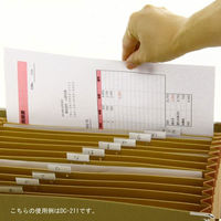 ライオン事務器 ドキュメントファイル A4 DC-211 15601 1冊（わけあり品）