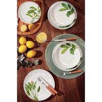 TRAMONTINA グラジエラ ディナープレート 25cm 96011/504 1枚（直送品）