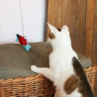 クレエ おもちゃ ねこじゃらし さかな 972310018 1個（直送品）