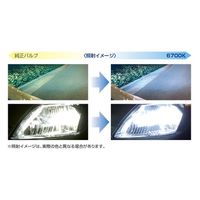 データシステム HIDバルブ(ブリリアントサファイア) HID2670 1箱(1台分)（直送品）