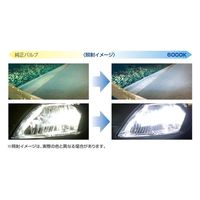 データシステム HIDバルブ(クリスタルシャインホワイト) HID4600 1箱(1台分)（直送品）