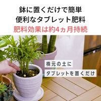 【園芸用品】住友化学園芸 MY PLANTS 長く丈夫に育てるタブレット 約170錠入 1本
