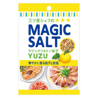 袋入りマジックソルト 柚子 20g 3個 エスビー食品 岩塩 スパイス ハーブ