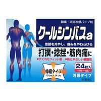 タカミツ クールシンパスa 24枚 タカミツ 打撲 捻挫 筋肉痛 肩こり【第3類医薬品】