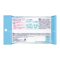 ビオレZero さらさらパウダーシート　クール無香性　10枚  花王