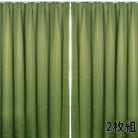 フォレストリンク 防炎遮光1級 カーテン 1000×2000mm グリーン cu1108leaf-100-200-2 1セット(2枚入)（直送品）