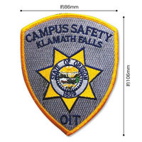 パイオニア ワッペン アイロン接着「ビッグアメリカン」 BW003-05044 1セット(3袋)（直送品）