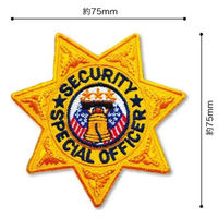 パイオニア ワッペン アイロン接着「ビッグアメリカン」 BW003-05067 1セット(3袋)（直送品）