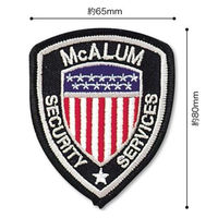 パイオニア ワッペン アイロン接着「ビッグアメリカン」 BW003-05071 1セット(3袋)（直送品）