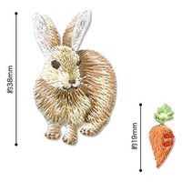 パイオニア 刺しゅうワッペン「ナチュラルワッペンシリーズ ウサギ」 C704-70425 1セット(3袋)（直送品）